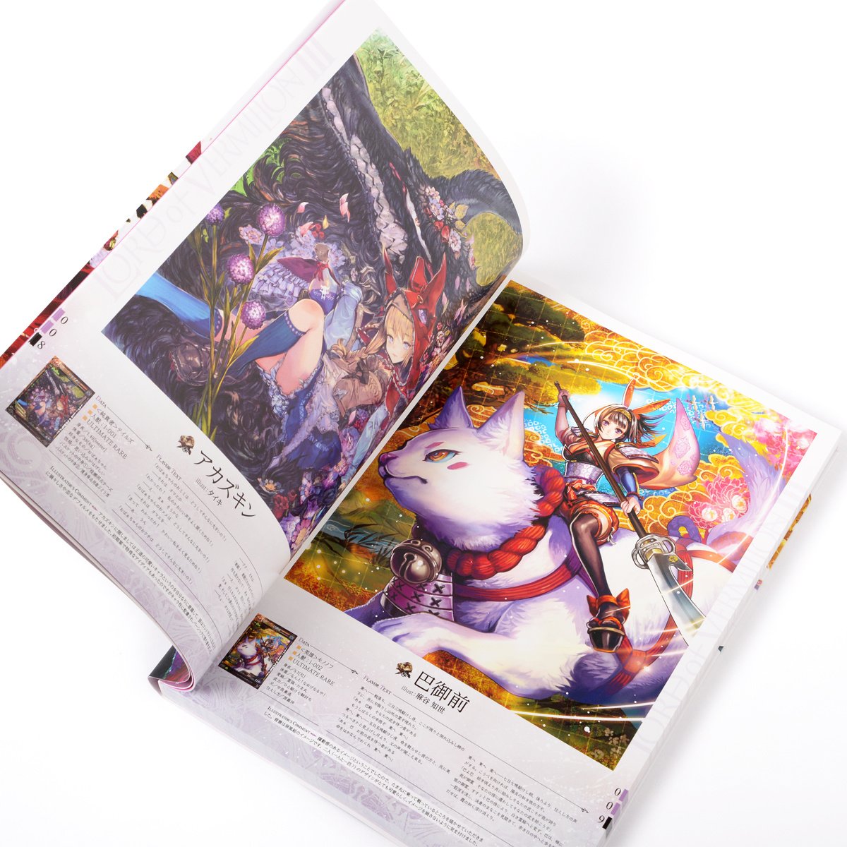 Lord of Vermilion III ~Ver. 3.1 Illustrations Shijin~ - Tokyo