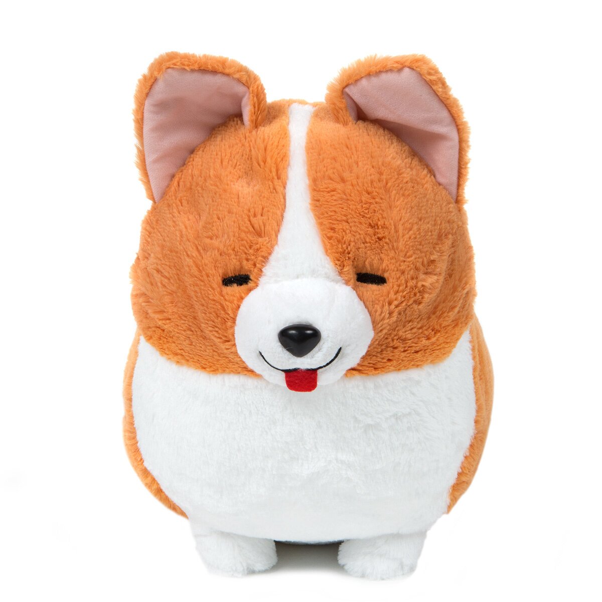 Ichini deals the corgi