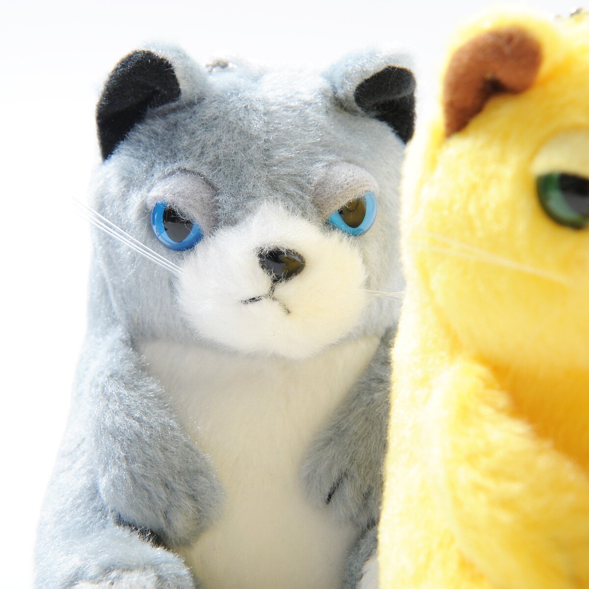 A Cat I Am Plush Collection - Tokyo Otaku Mode (TOM)