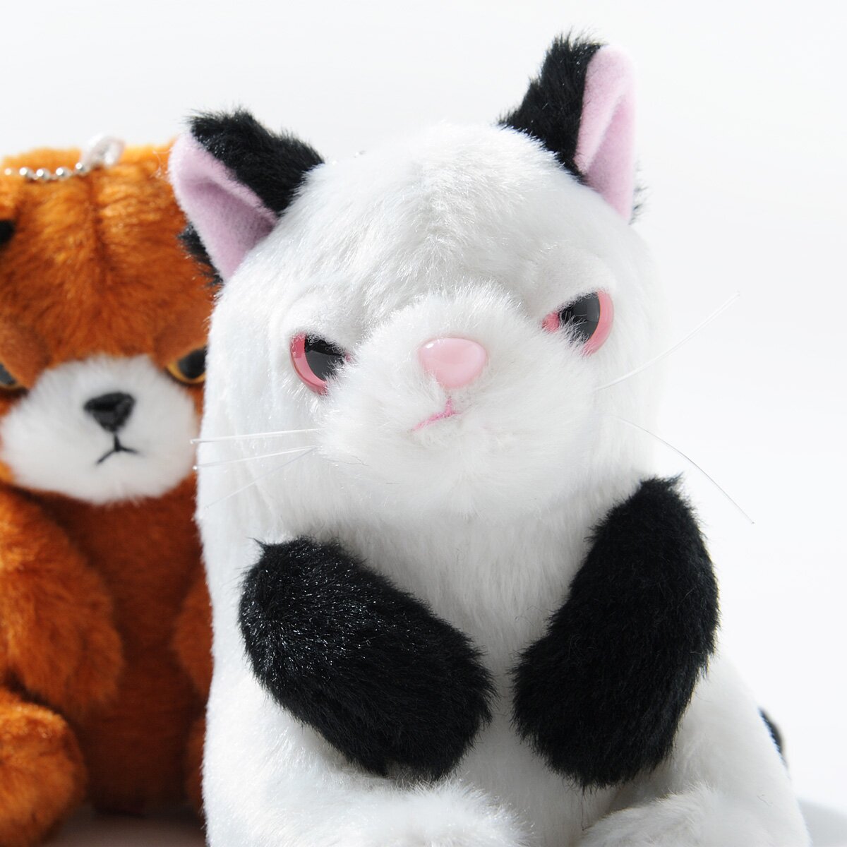花井祐介 ACME Furniture STUFFED CAT with BOX 61WDse4QV+L._UF350,350_QL50_.jpg