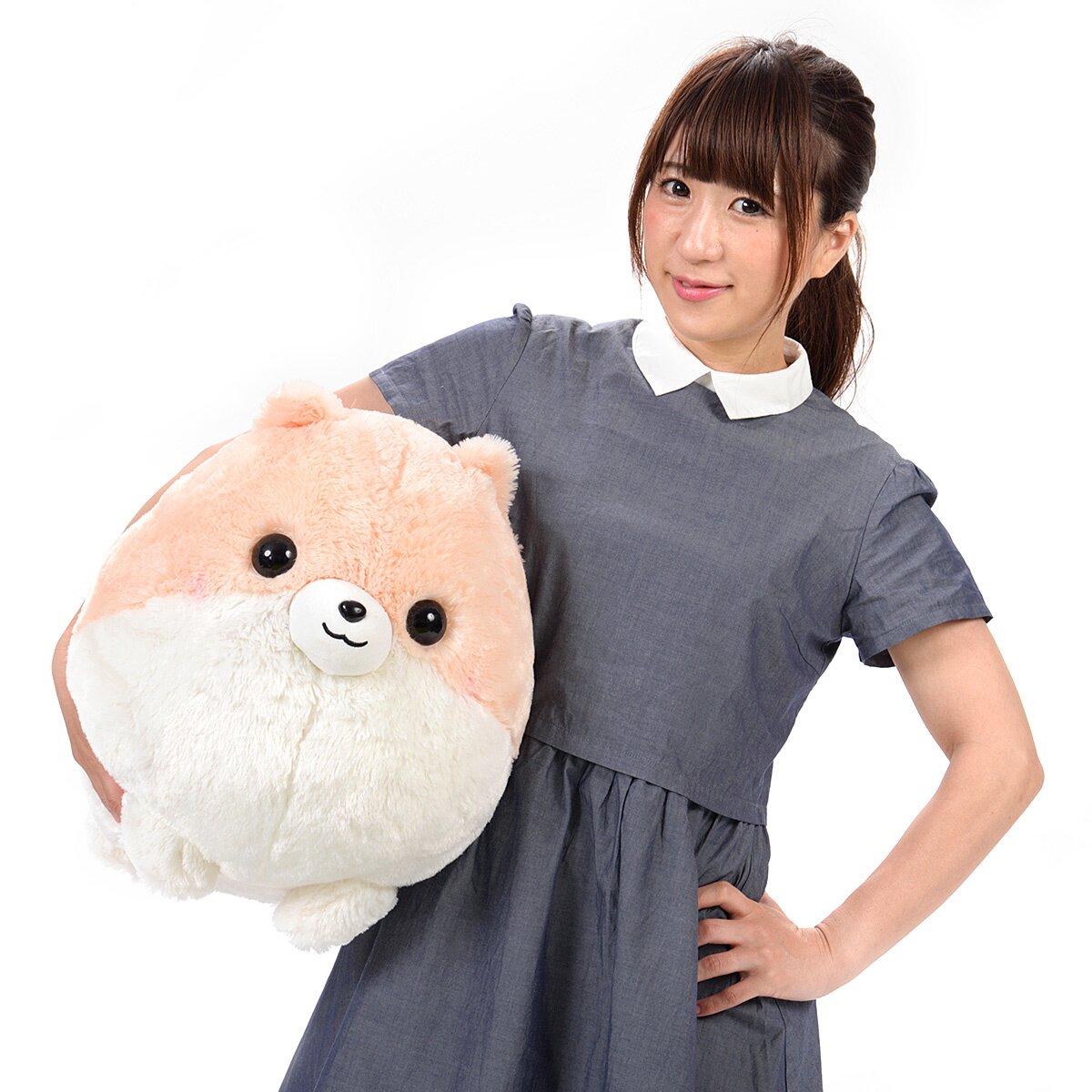 pometan plush
