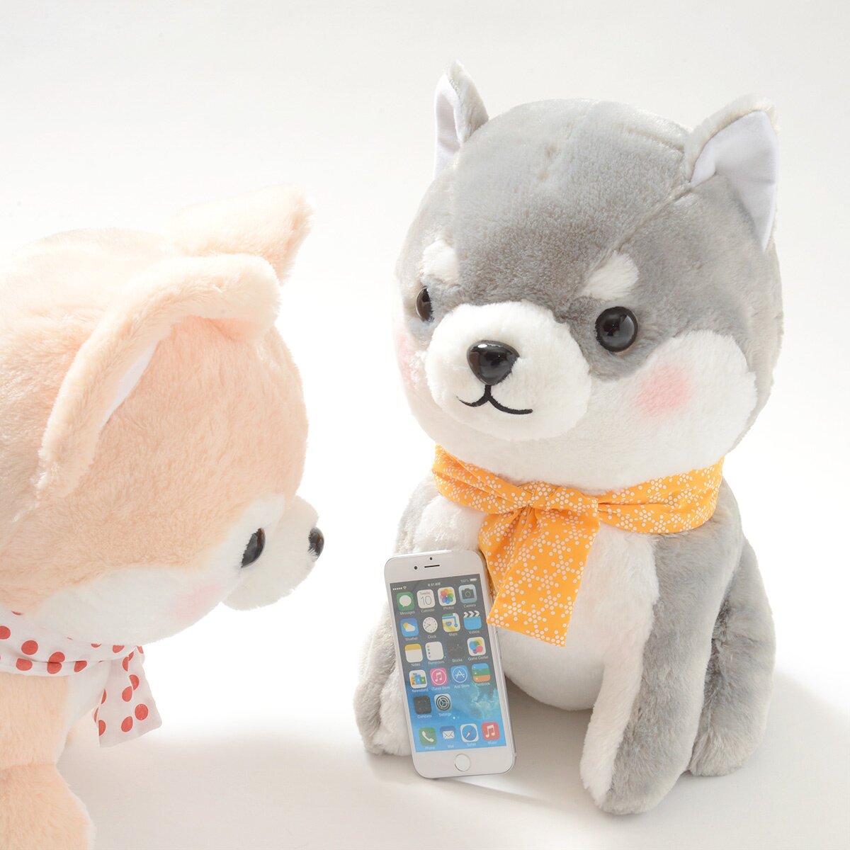 Ichi Ni no Corgi Dog Plush Collection (Big): Amuse - Tokyo Otaku Mode (TOM)