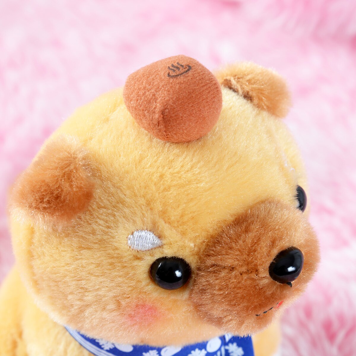 Ichi Ni no Corgi Dog Plush Collection (Big): Amuse - Tokyo Otaku Mode (TOM)