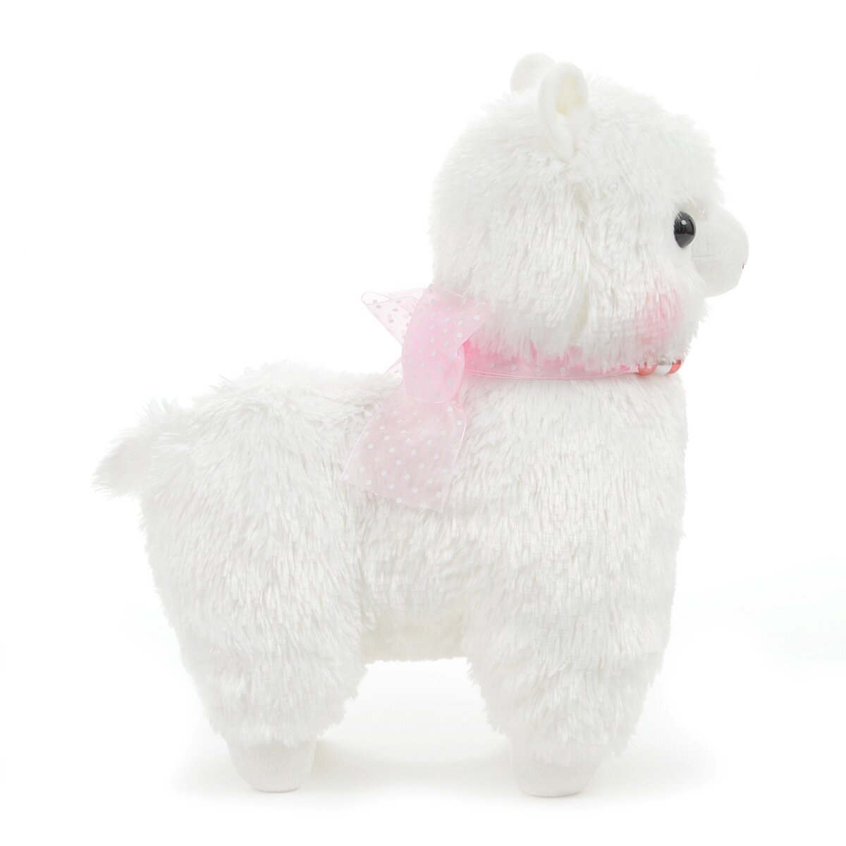 big alpacasso