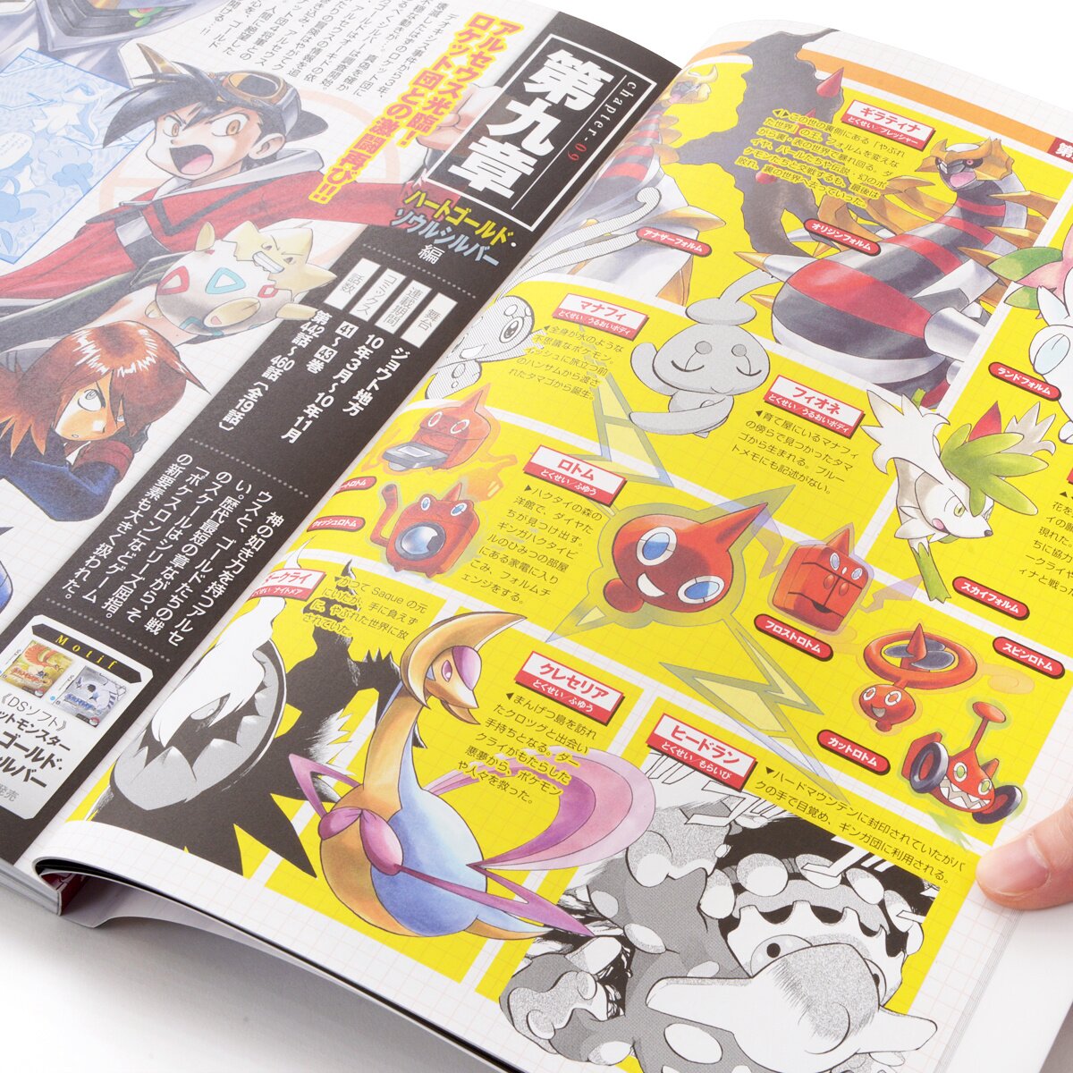 Pokemon Sword & Shield Manga Volume 9