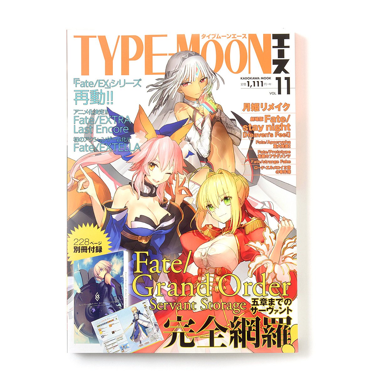 TYPE-MOON Ace Vol. 11: Type-Moon - Tokyo Otaku Mode (TOM)