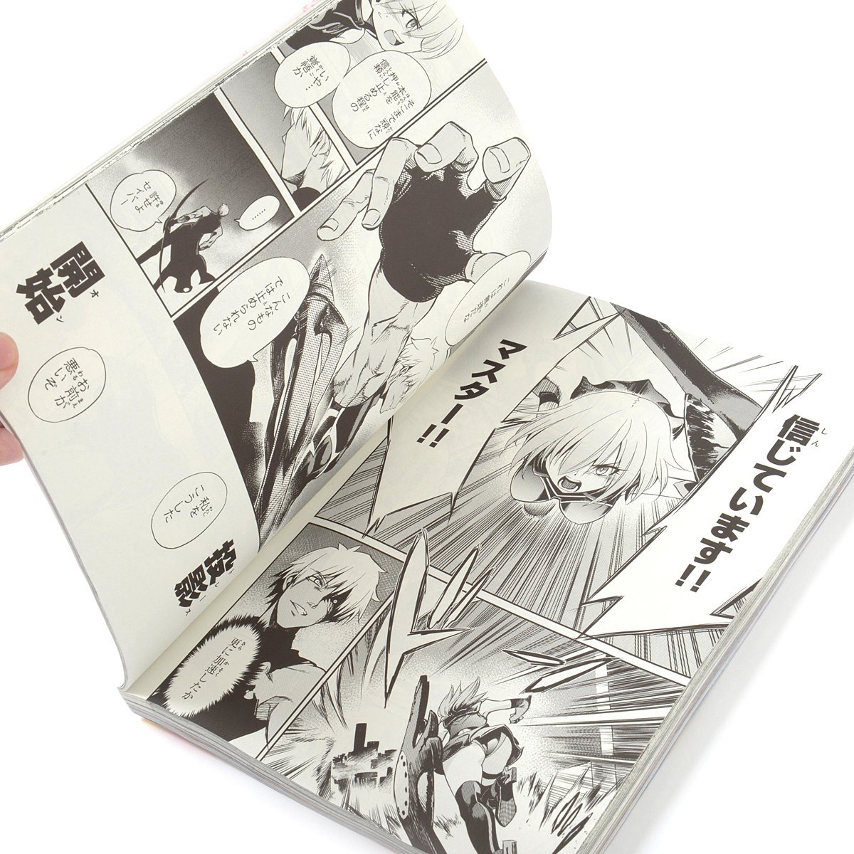 TYPE-MOON Ace Vol. 11: Type-Moon - Tokyo Otaku Mode (TOM)