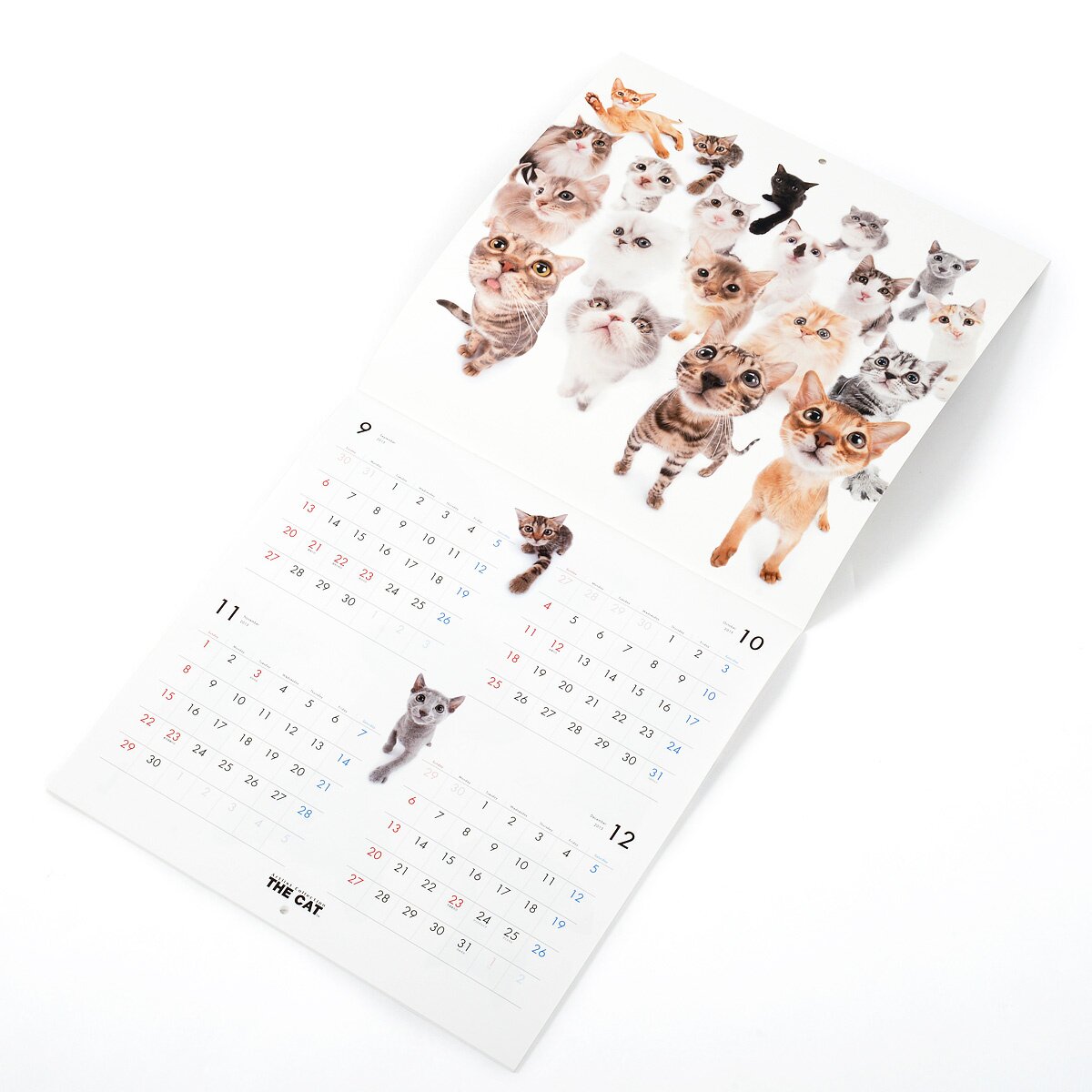 The Cat All-Star 2016 Calendar - Tokyo Otaku Mode (TOM)