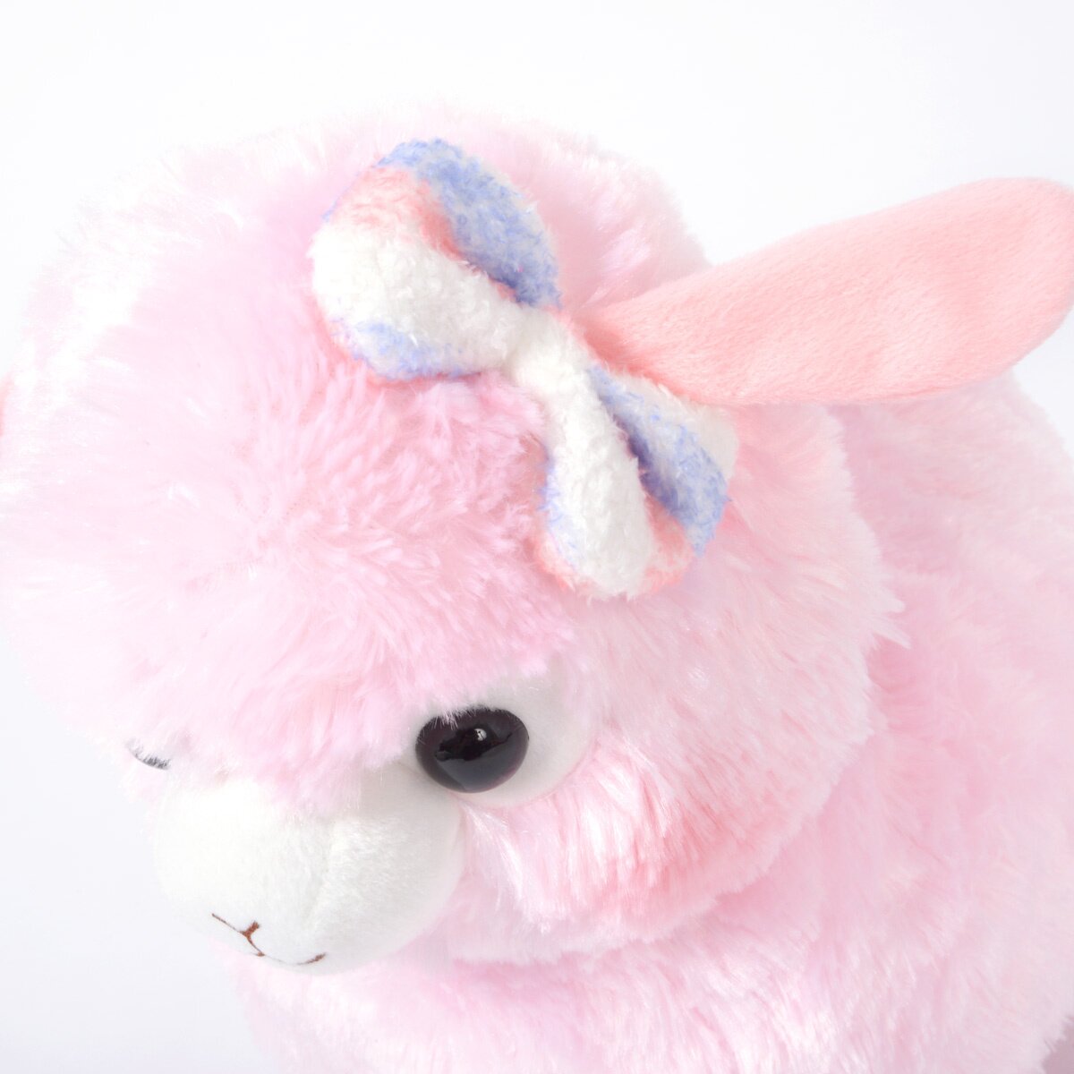 amuse collection alpacasso