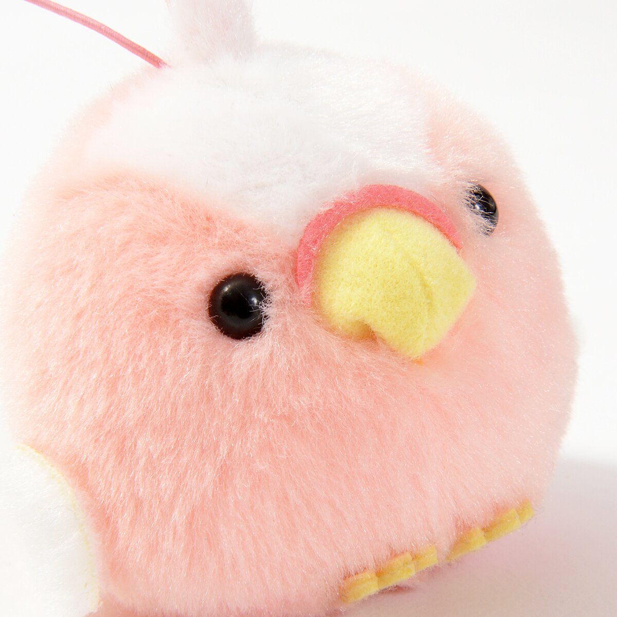 ぬいぐるみ TARO KOI Amazon.co.jp: Sun Arrow Studio Ghibli Nakayoshi Beanbag