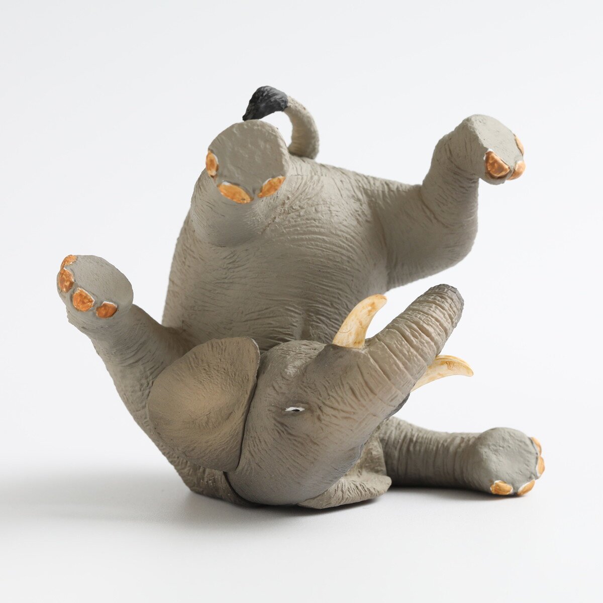 Animal Life Rolling Animals Box Set: Union Creative - Tokyo Otaku