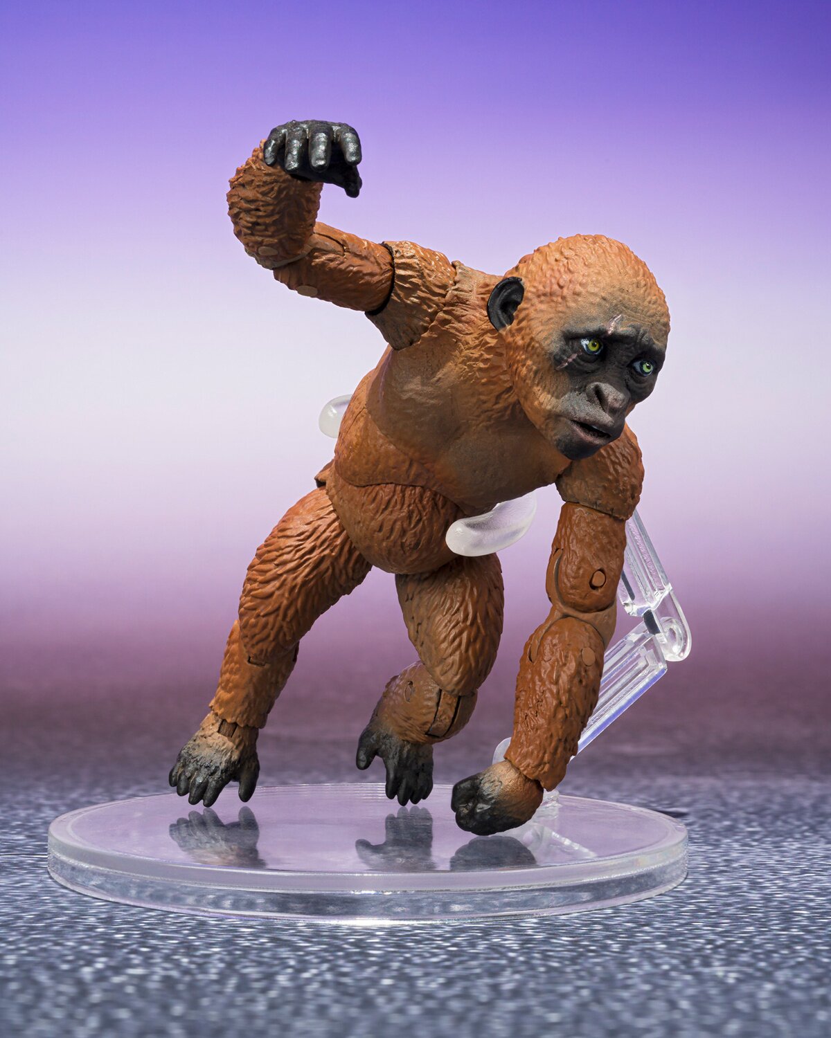 S.H.モンスターアーツ KING KONG キングコング