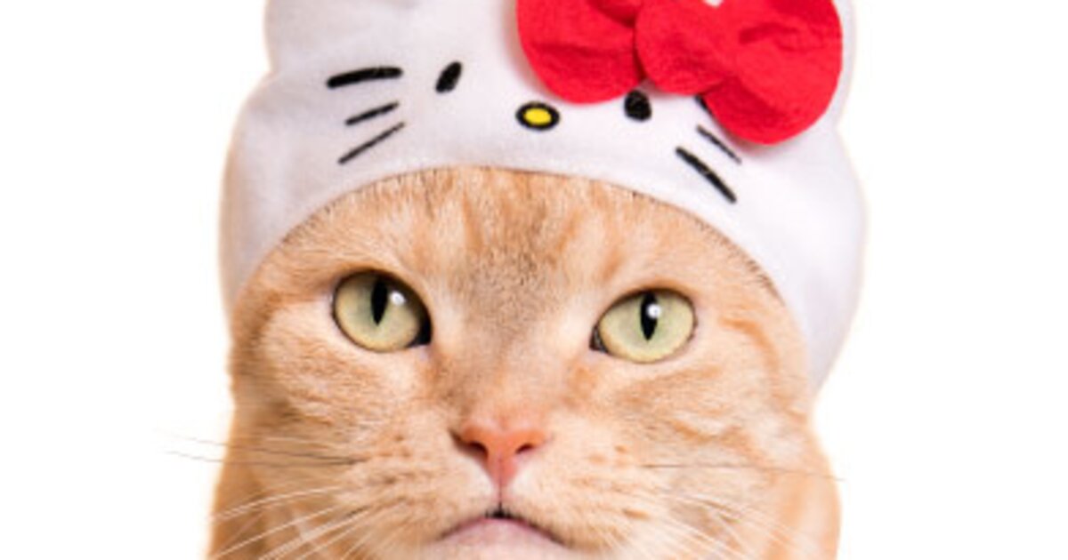 Top cat: how 'Hello Kitty' conquered the world