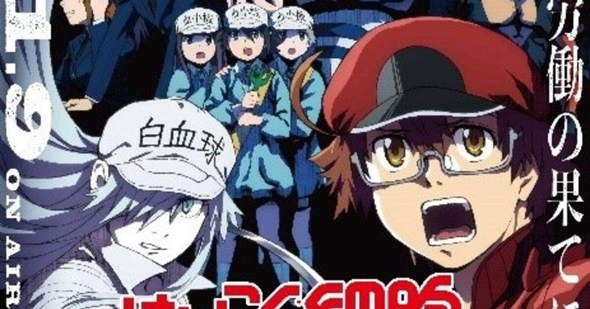 Cells At Work! Season 2 and CODE BLACK - Key Visuals (Both of them on  January 9th 2021): : r/CellsAtWork