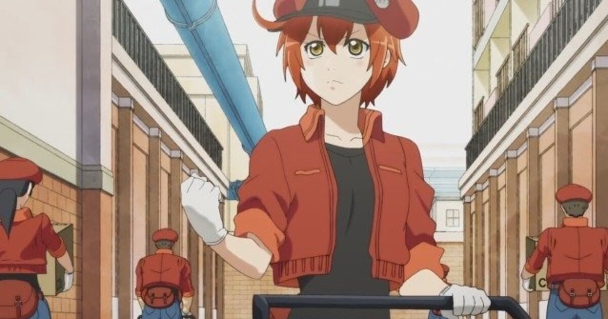 Review: Cells at Work – Yes, Anime can be Educational! – The Ranting Penguin