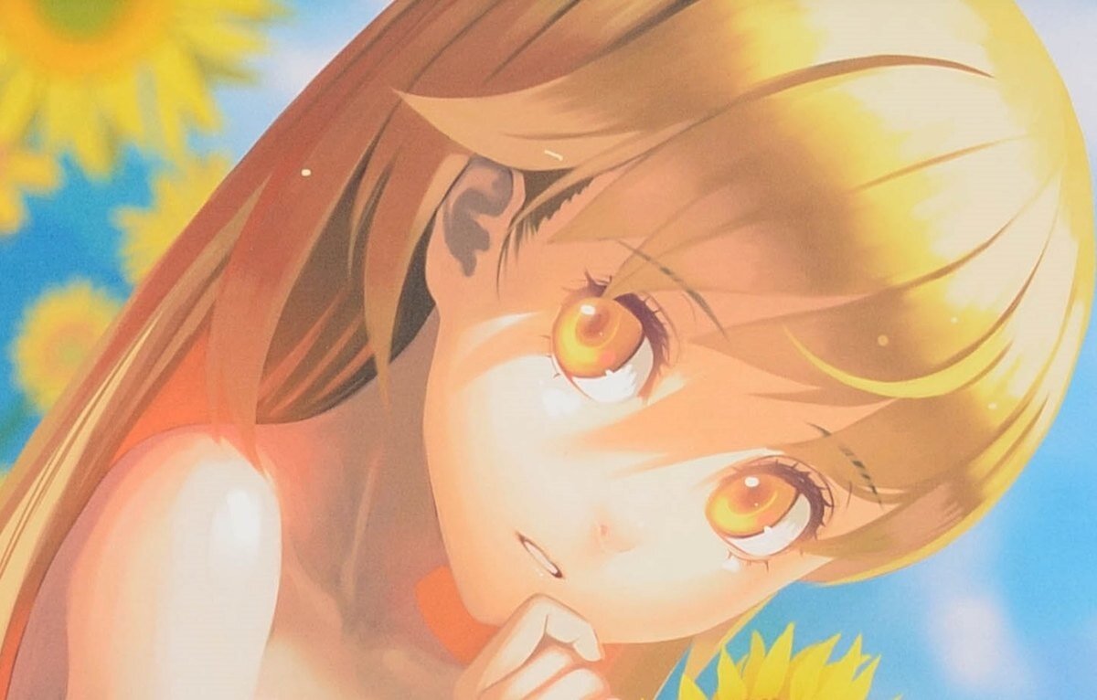 nisio isin daijiten