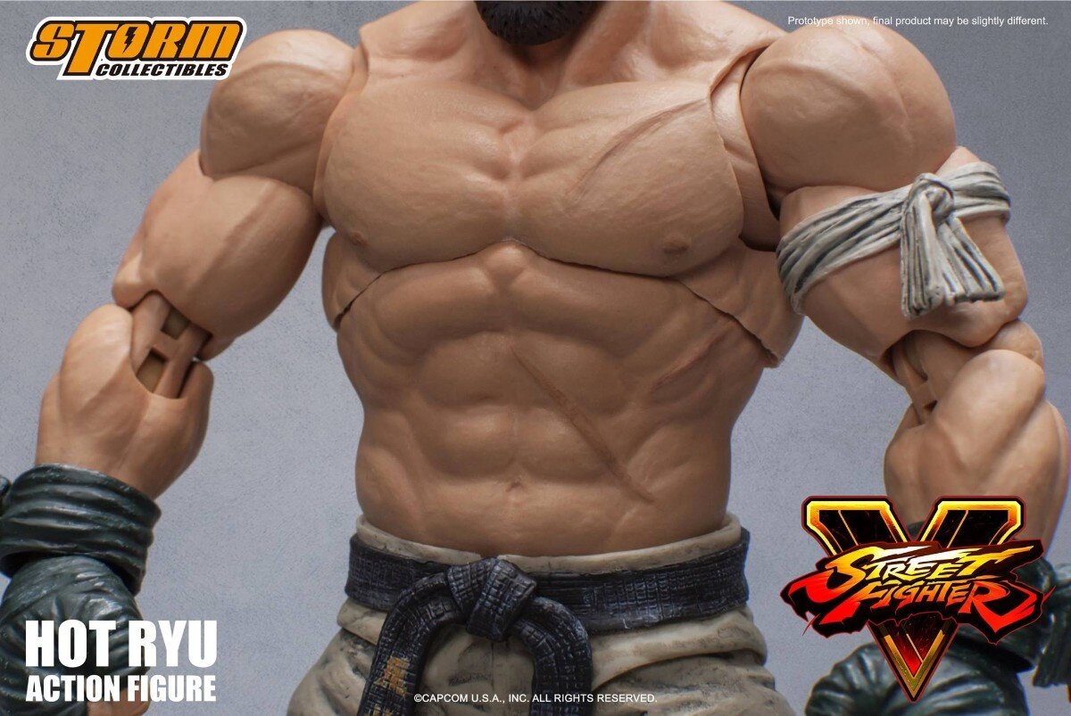 Hot ryu deals storm collectibles