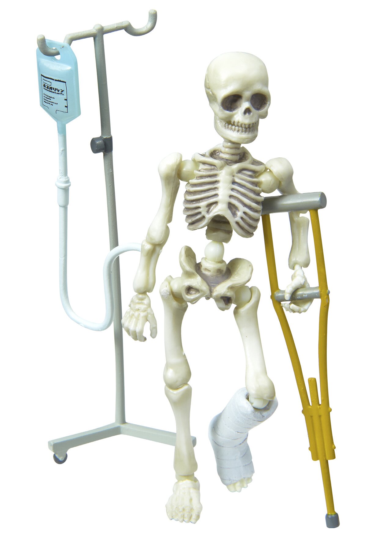 posable skeleton model