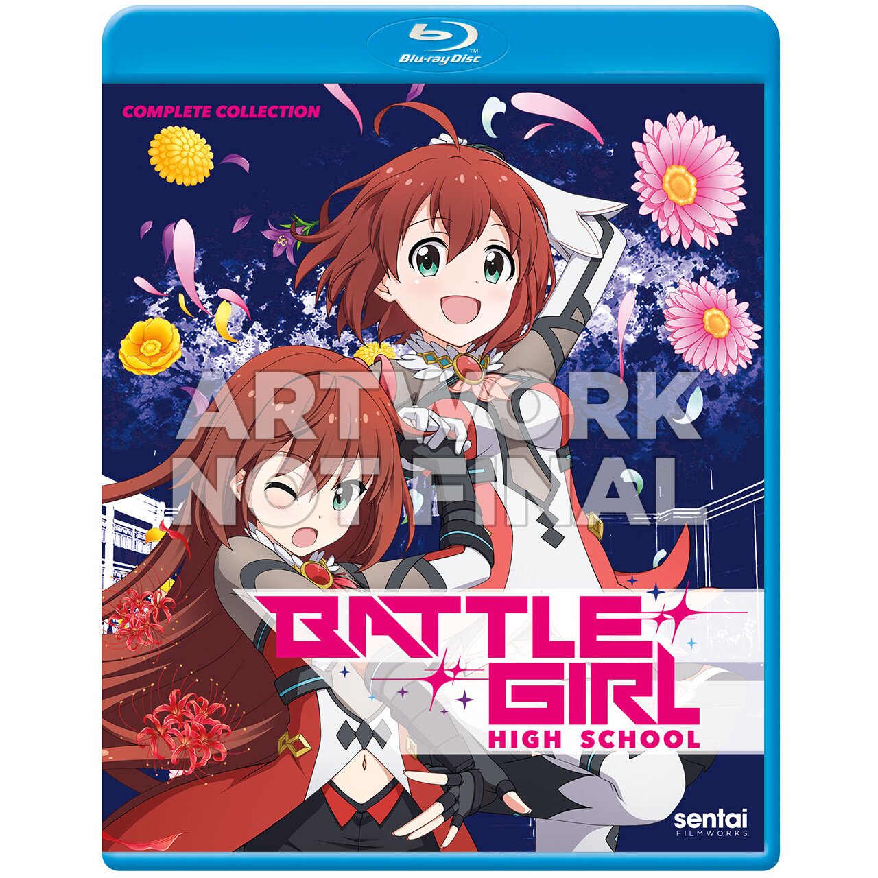 Battle Girl High School: Complete Collection Blu-ray - Tokyo Otaku