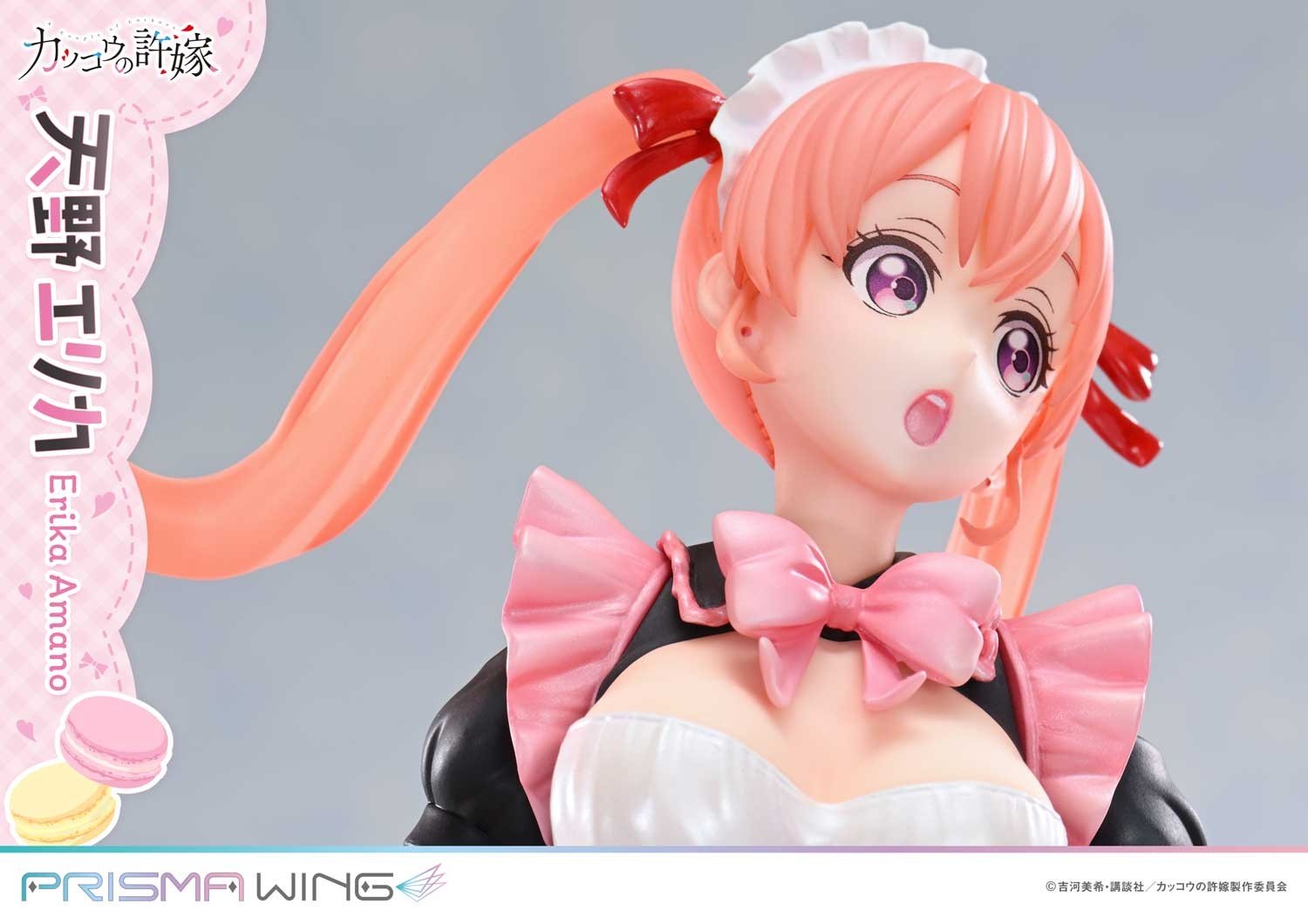 Prisma Wing A Couple of Cuckoos Erika Amano Bonus Edition 1/7 
