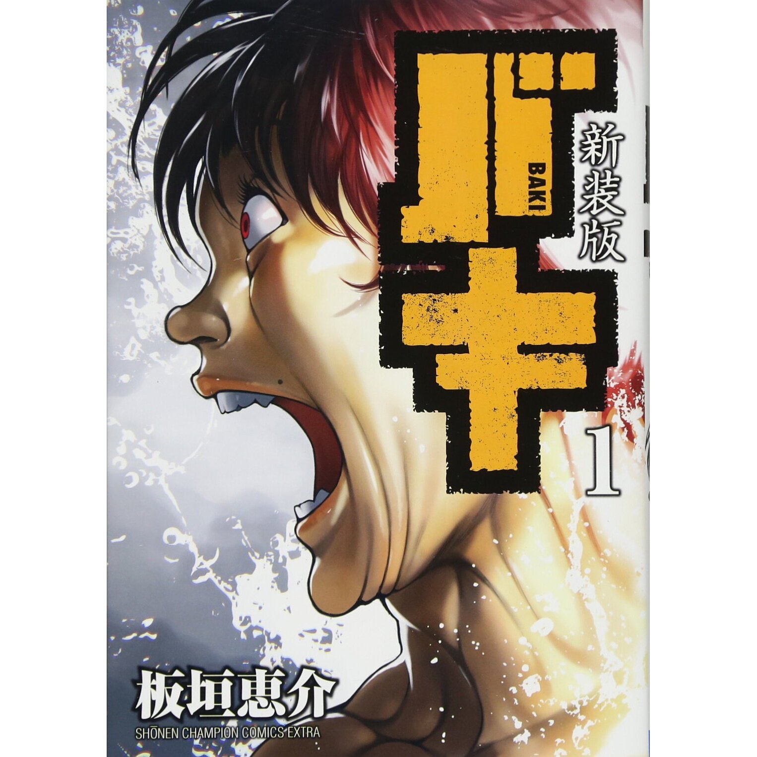 Hanma Baki  Manga 