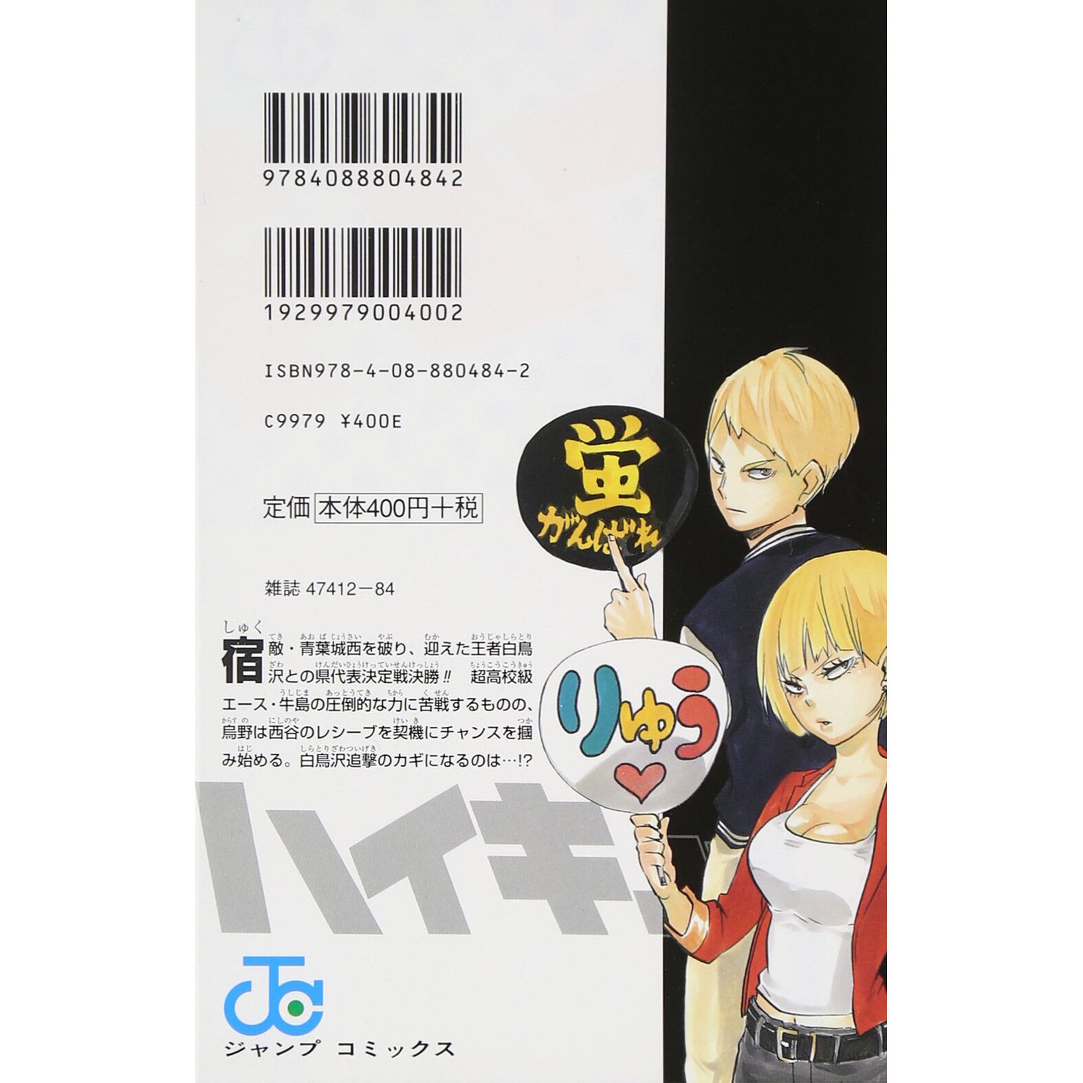 Haikyu Haikyuu Vollyball Anime Single Main Character Shoyo Hinata Tobio  Poster!