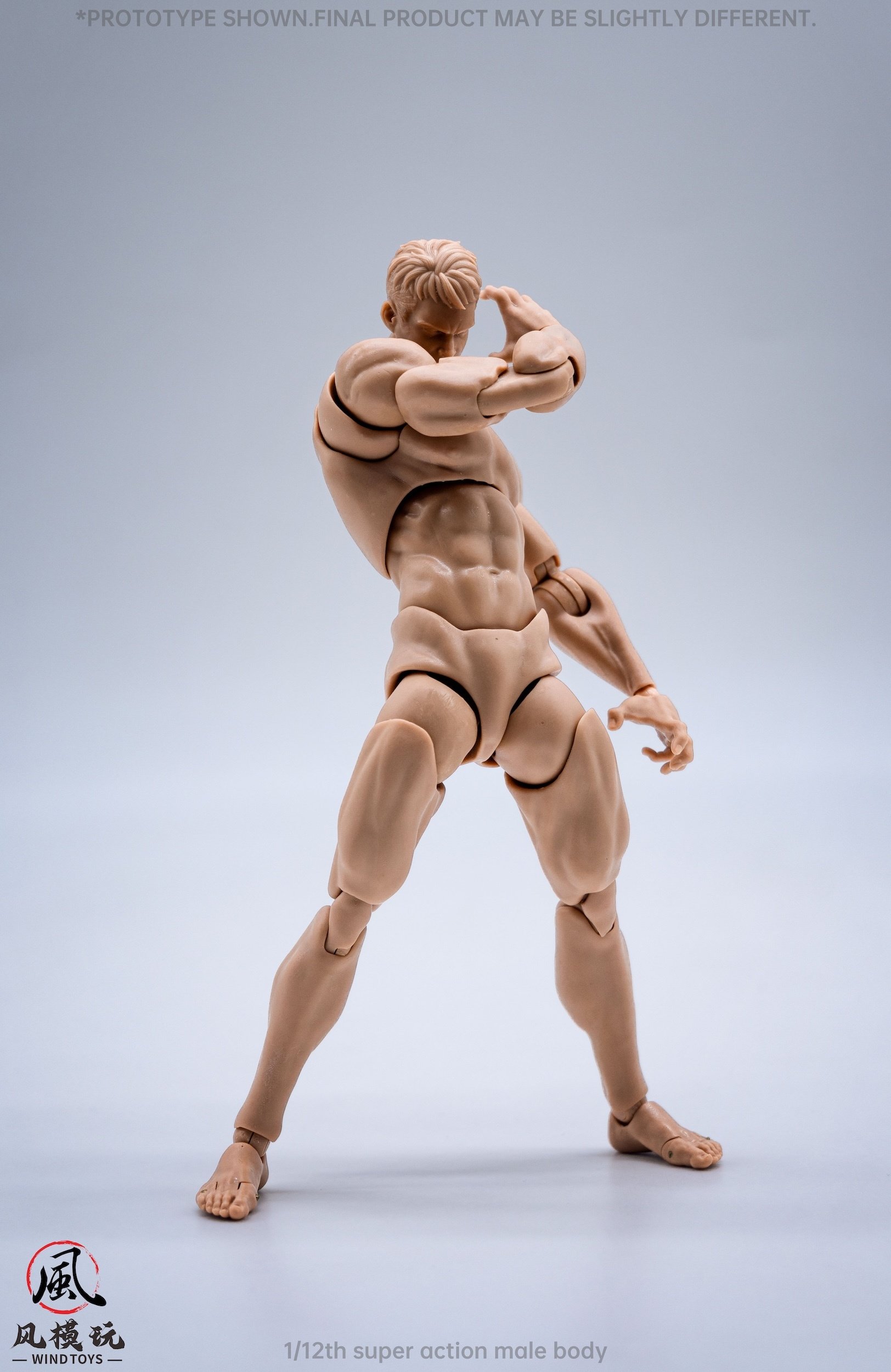 Super Action Male Body: Normal Edition 1/12 Scale Action Figure: Wind ...
