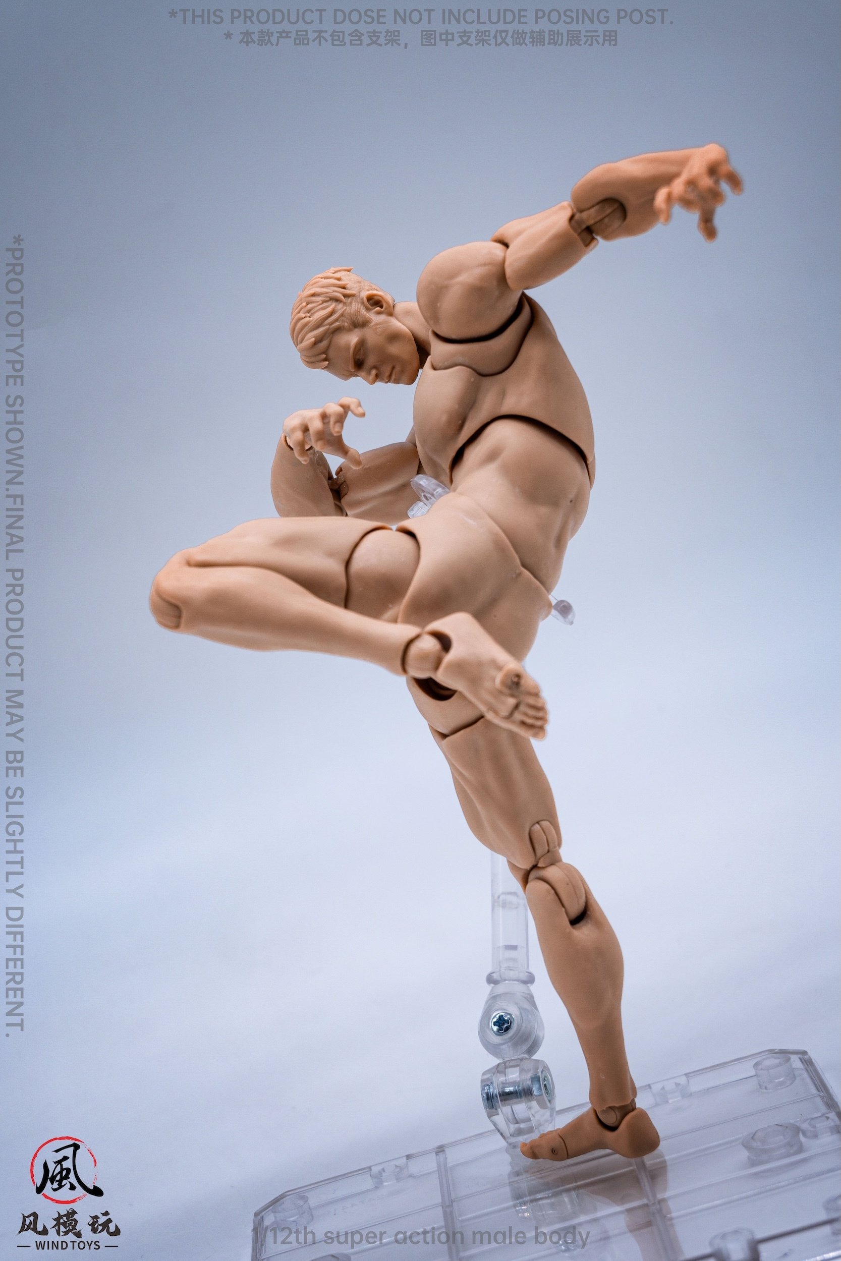 Super Action Male Body: Normal Edition 1/12 Scale Action Figure: Wind ...
