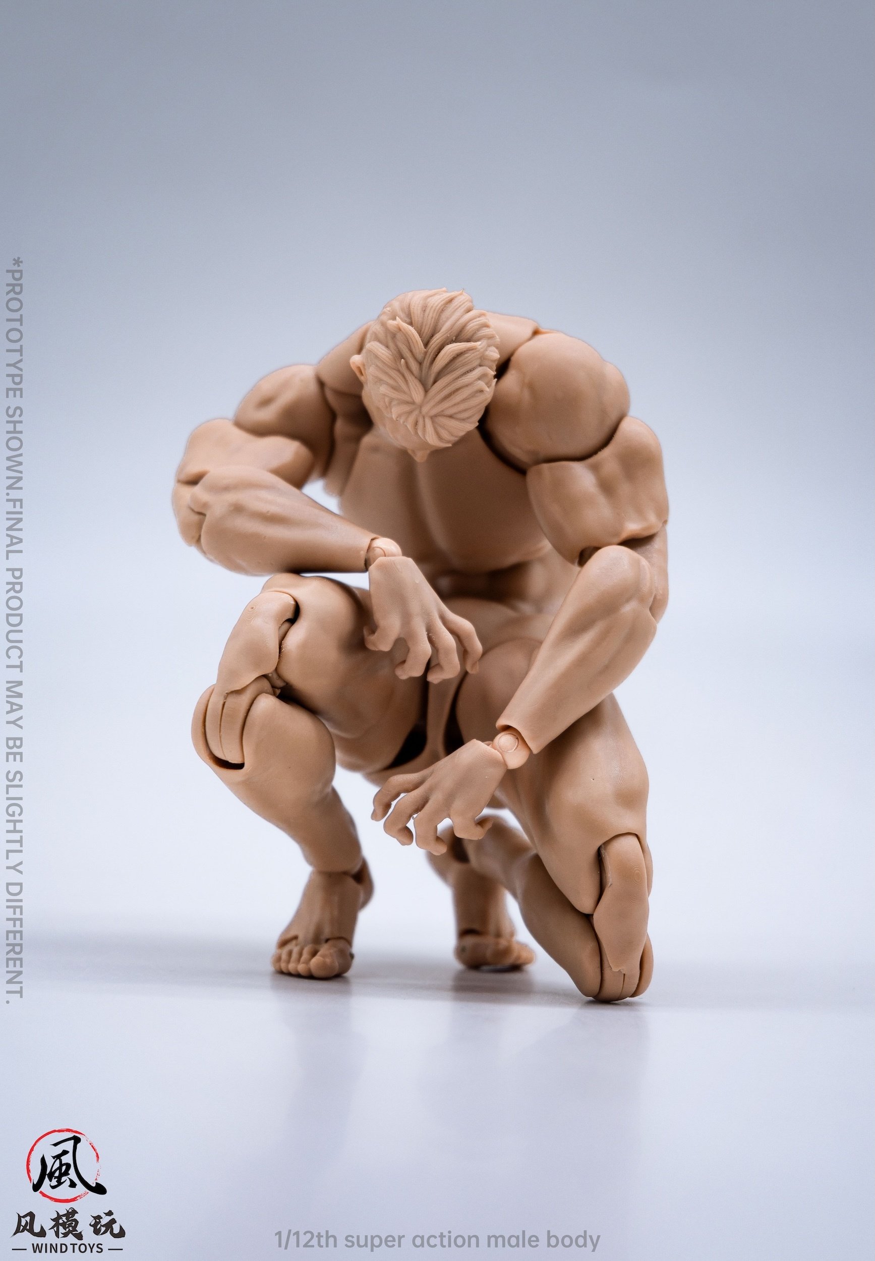 Super Action Male Body: Normal Edition 1/12 Scale Action Figure: Wind ...