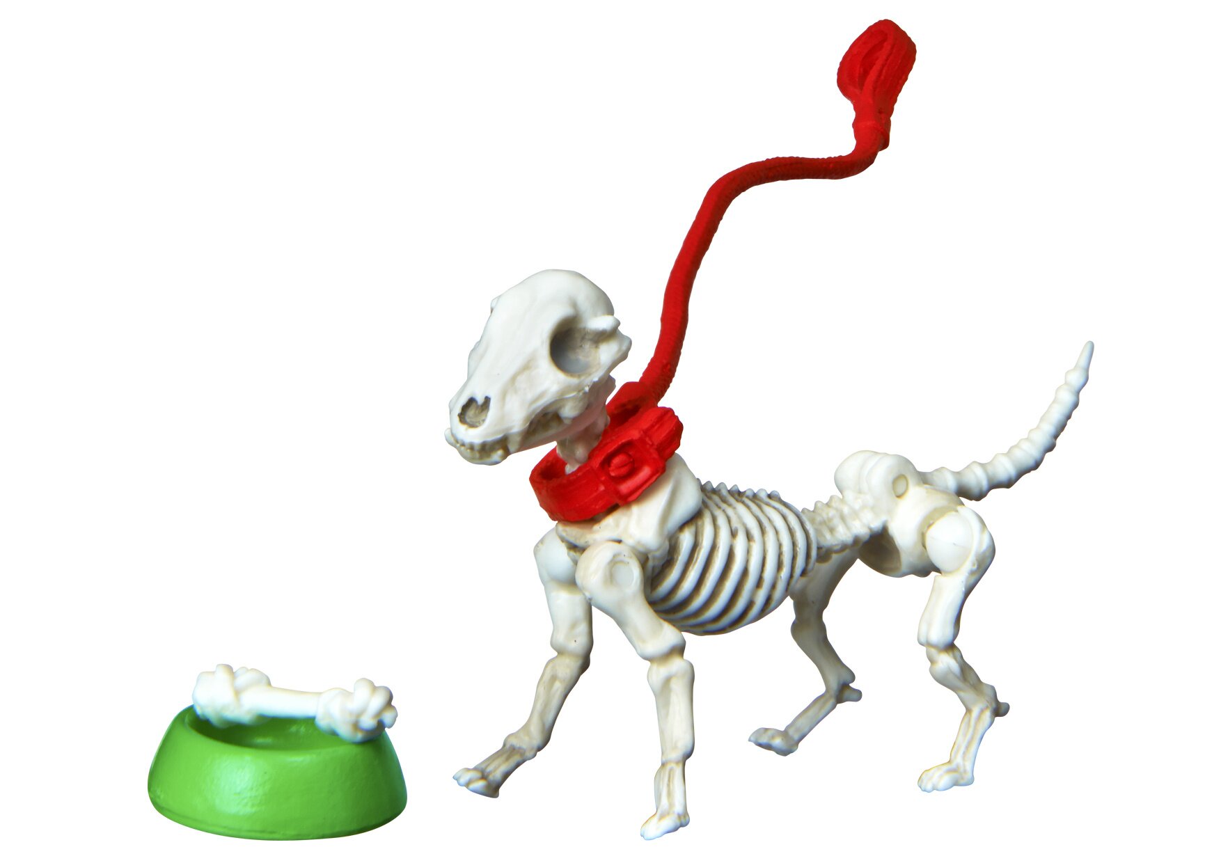 dog skeleton toy