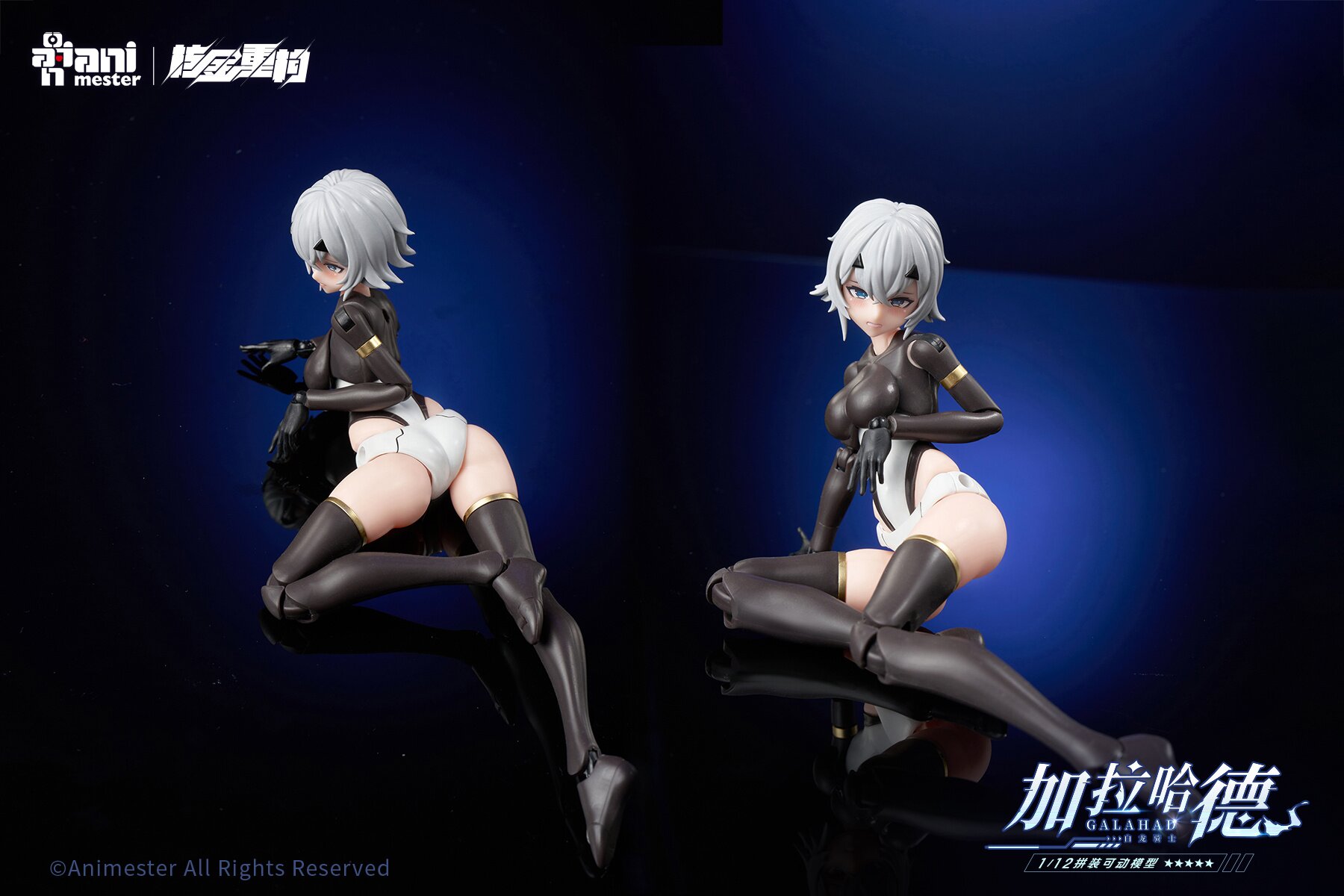 White Dragon Knight Galahad 1/12 Scale Plastic Model Kit - Tokyo