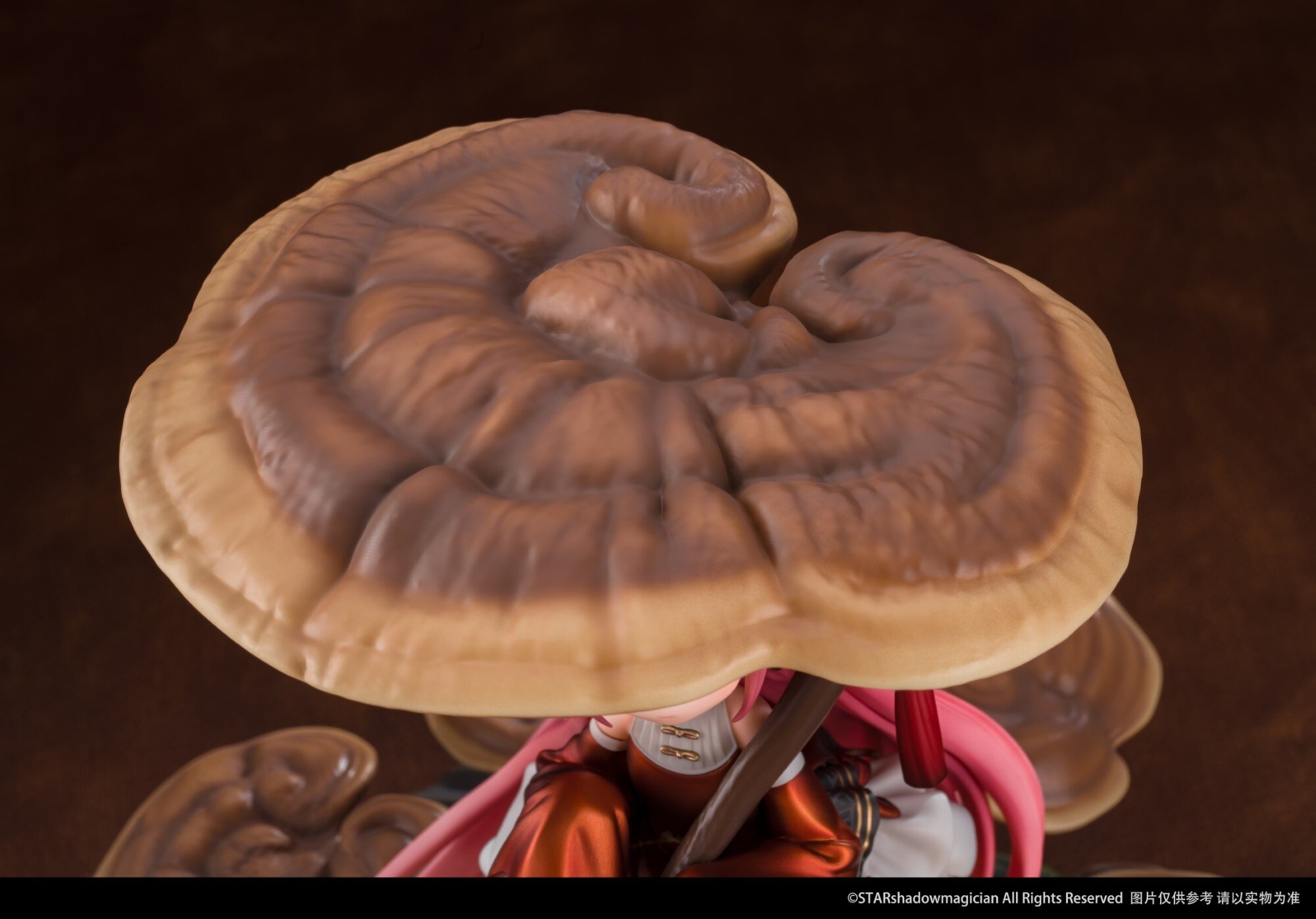 mushroomページ sddefault.jpg