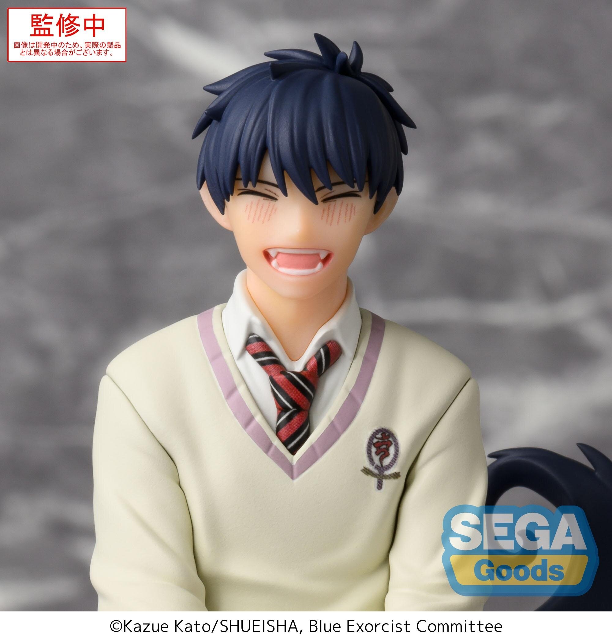 Blue Exorcist Rin Okumura DXF Figure Banpresto 17cm from Japan Anime