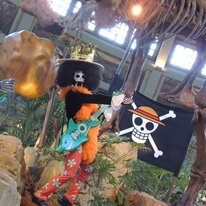 The World Of One Piece Comes To Usj One Piece Summer Adventure Opening Day Report Event News Tokyo Otaku Mode Tom Shop Figures Merch From Japan