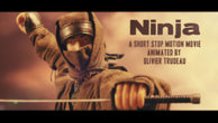 Ninja, A Stop Motion Movie Short
