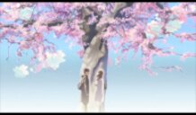 5 Centimeters per Second