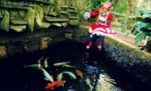 Cinia Pacifica / SWORD GIRLS ONLINE