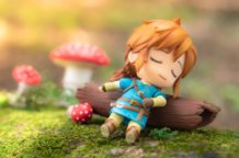 Link and the mushroom [2]