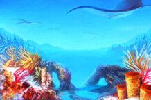 A Collection of Awesome Illustrations!