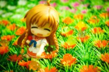 Mirai's garden