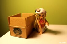 Little Busters Noumi Kudryavka Stray Dog 