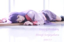 Happy Birthday Hitagi*