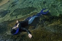 Madam Shyarly (One Piece)