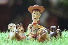 Woody The Pack Leader