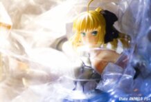 ヽ(≧Д≦)ノ " SABER LILY "