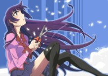 Senjougahara Digital