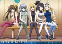 "IS<Infinite Stratos> New Goods Special" 