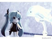 ...The beauty of the sea...