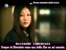 Kimi Hana - Pigstar  Sub español