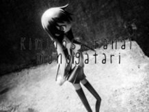 Kimi no Shiranai Monogatari